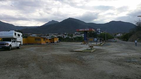 Grifo Suyo