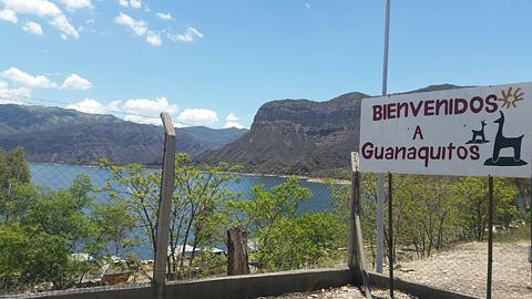 Guanaquitos
