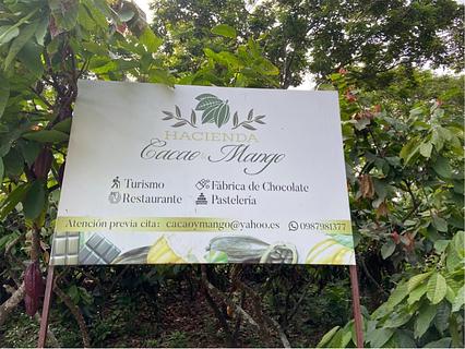 Hacienda cacao y mango