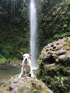 Hola Vida Waterfall