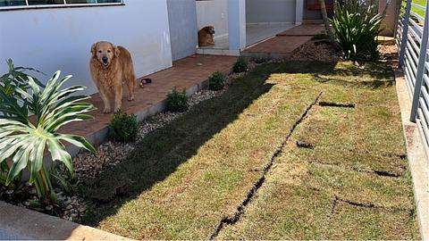 Home Eduardo