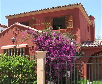 Hostal Arbol