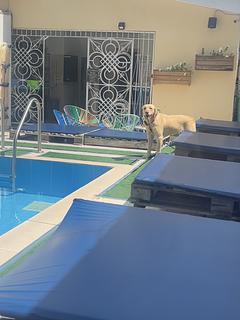Hostal el Bando