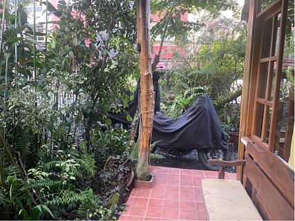 Hostal Las Palmas