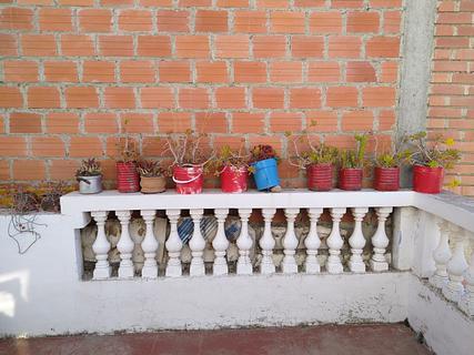 Hostel Florencia