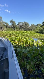 Hotel Pantanal