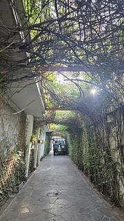 Hotel Refugio Ecologico