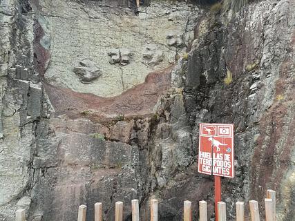 Huellas de Dinosaurios