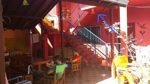 Hummingbird Hostal