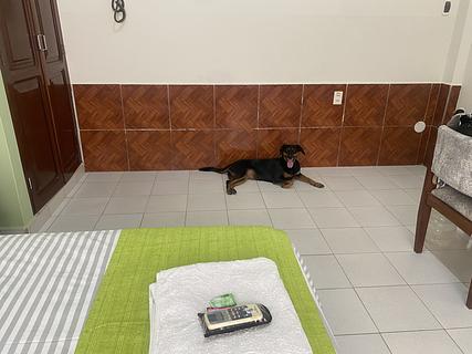 Iguazú hotel