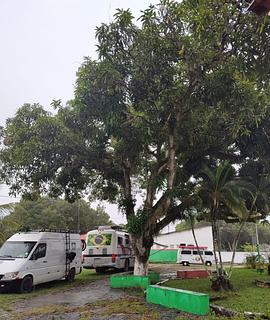 Ilha do Atalaia (comunidade Atalaia)