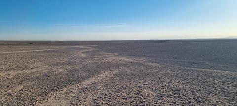 In the desert
