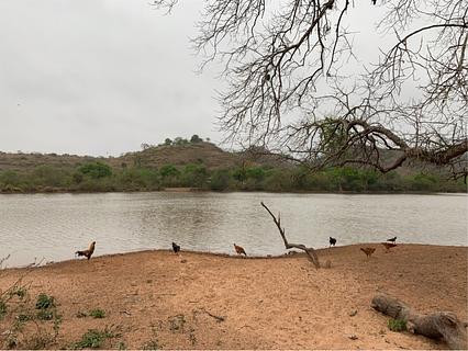 Ipati Lake Camping