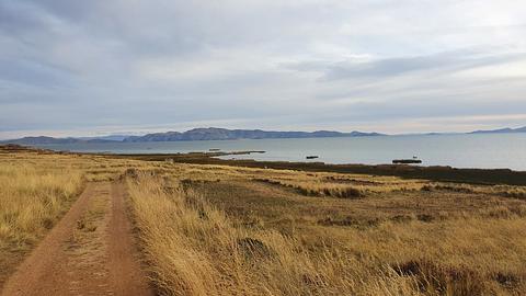 Isla Cojota - Titicaca