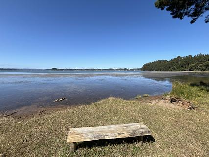 Isla Huapi