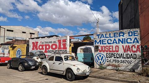 Joselo old VW specialist