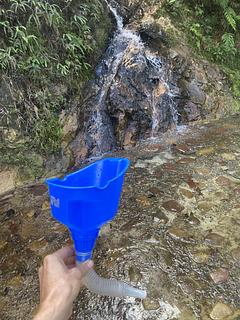 Jungle spring