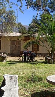 La Cabaña de don Hans