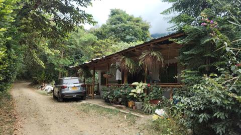 La casita de las aves