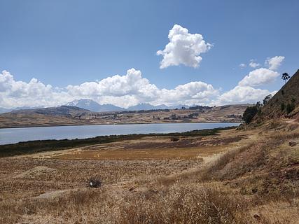 Lago eucalypto