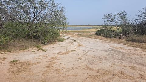 Lagoon