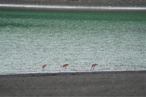 Laguna Amarga (+ Flamingos!)