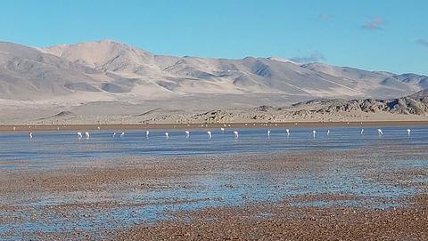 Laguna Blanca Wildcamp
