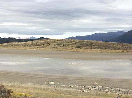 Laguna con flamencos