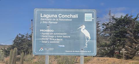 Laguna conchali sendero
