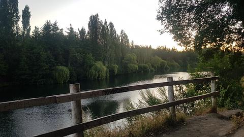 Laja River Campsite
