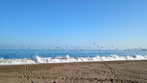 Laraquete playa