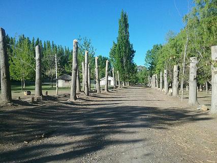 Las Araucarias