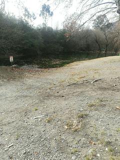 Las Jarillas