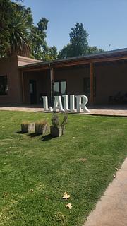 Laur Aceite de Oliva y Aceitoso Balsámico