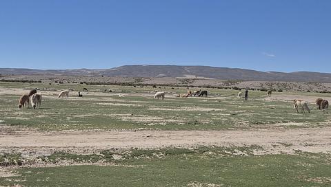 Leito de rio seco.