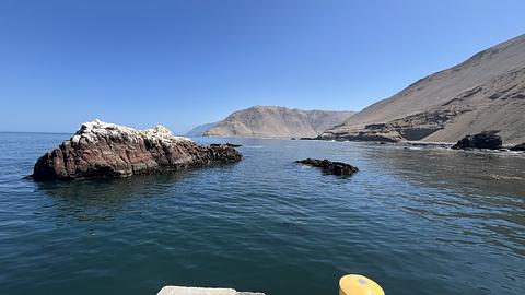 Litte Fishing Port