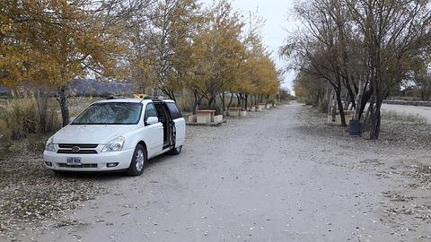 local gratuito