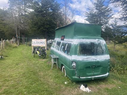 Los aromos