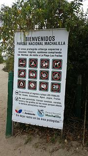 Los Frailes - Praia