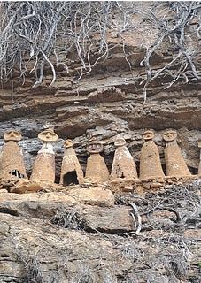 Los Sarcófagos Del Cerro El Tigre