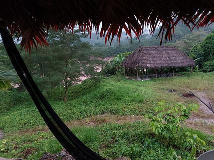 Lugar incrível sobre o rio e a selva