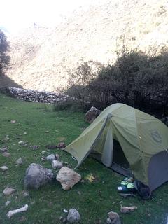 Lugar plano atrás de muro e árvores