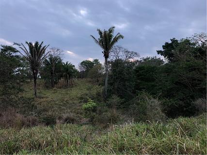 lugar na selva com portão