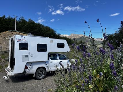 Lupines com vista