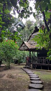 Madidi jungle ecolodge