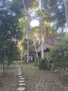 Majacho's House