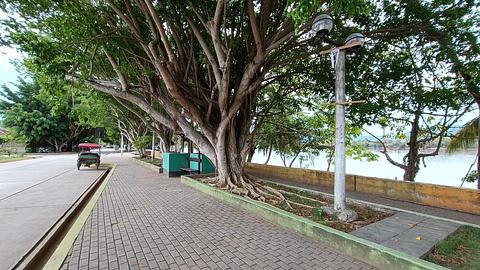 Malecon Picota