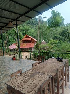 Manu Endemic Reserve