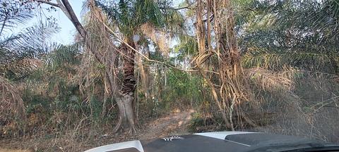 marcador de entrada para o acampamento à beira do rio