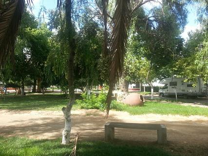 Maria Pinto Plaza